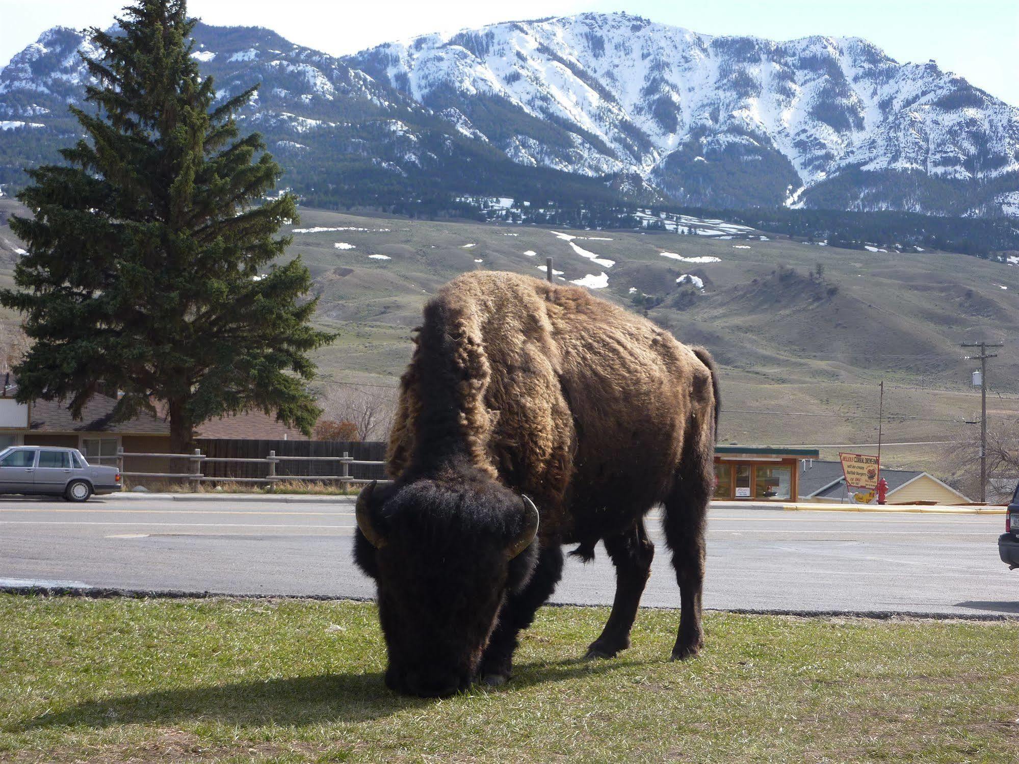 Yellowstone Gateway Locanda 3*